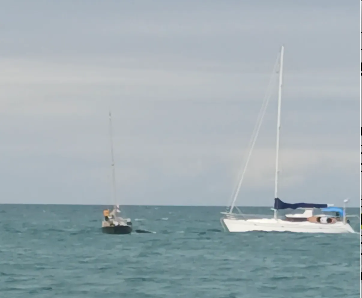 Midship