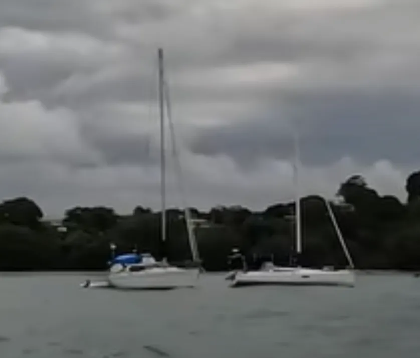 Pogo boat